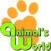 Animals World