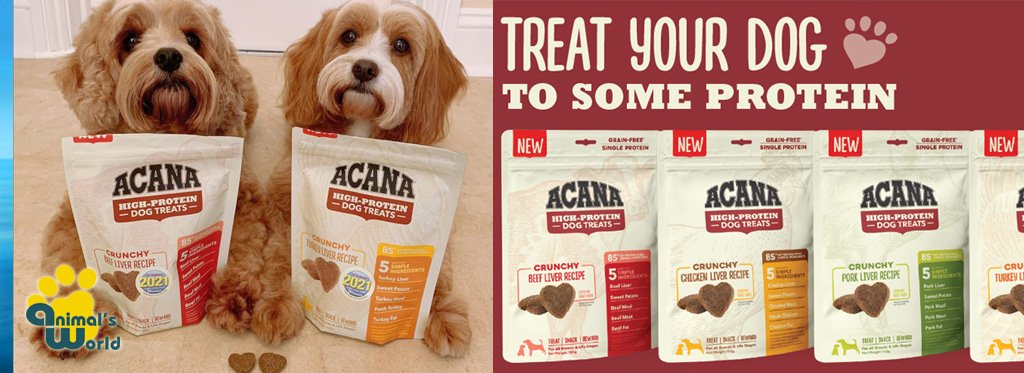 treat-your-dog